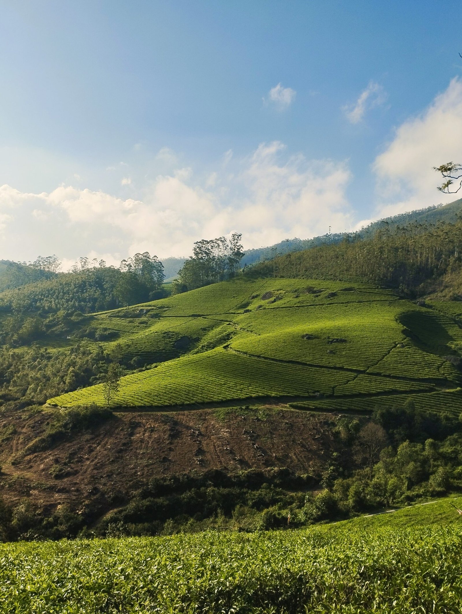 NuwaraEliya