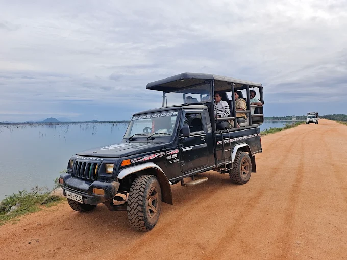 Safari Adventure